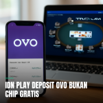 IDN Play Deposit OVO Bukan Chip Gratis - Tampilan Aplikasi OVO