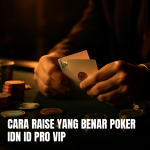 raise poker IDN Pro VIP